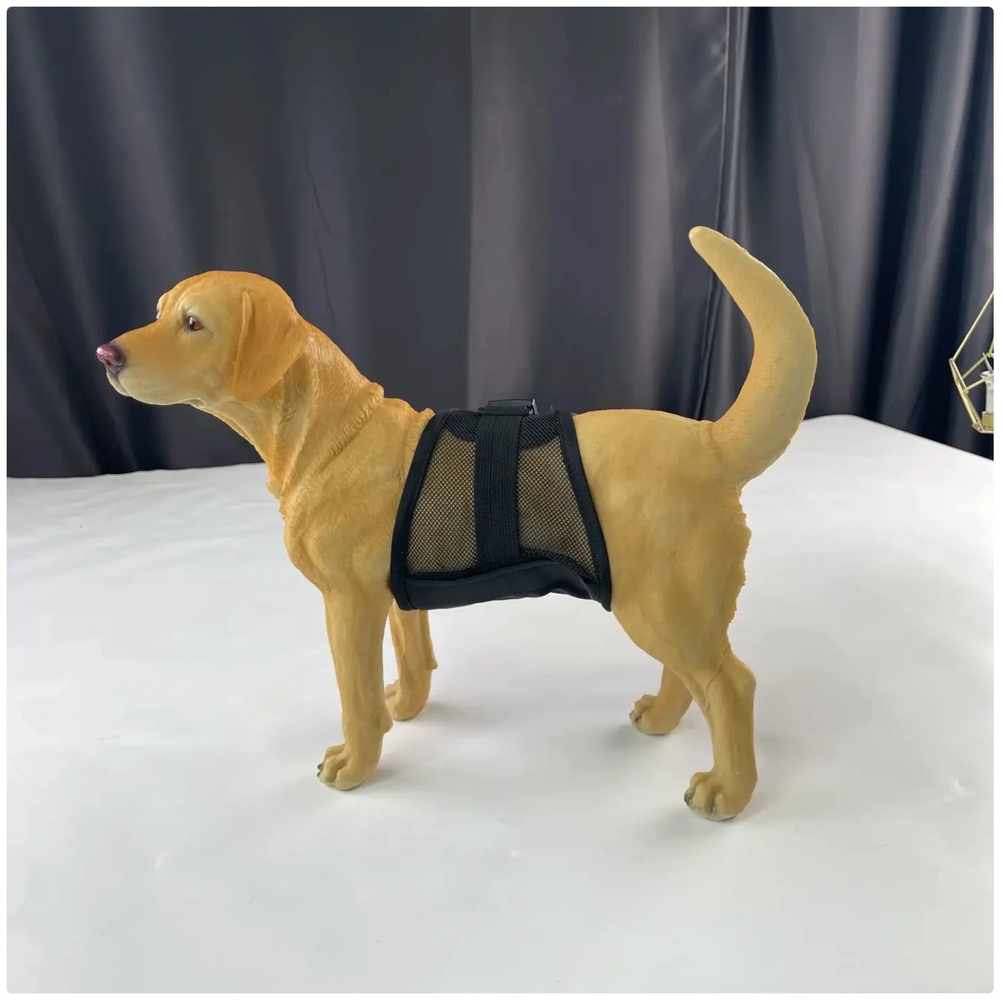 Multi - Purpose Pet Physiological Pants for Incontinence & Surgery Recovery