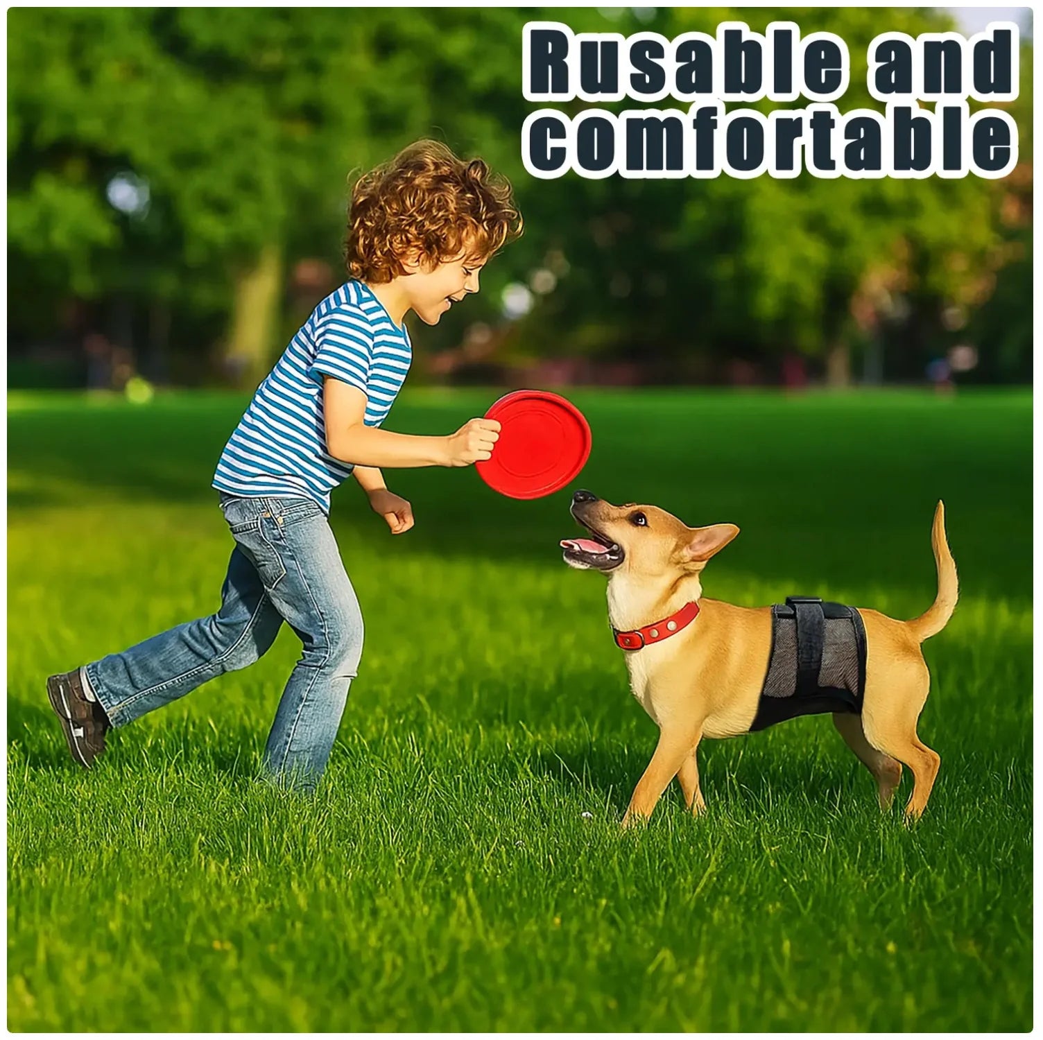 Multi - Purpose Pet Physiological Pants for Incontinence & Surgery Recovery