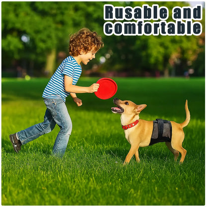 Multi - Purpose Pet Physiological Pants for Incontinence & Surgery Recovery