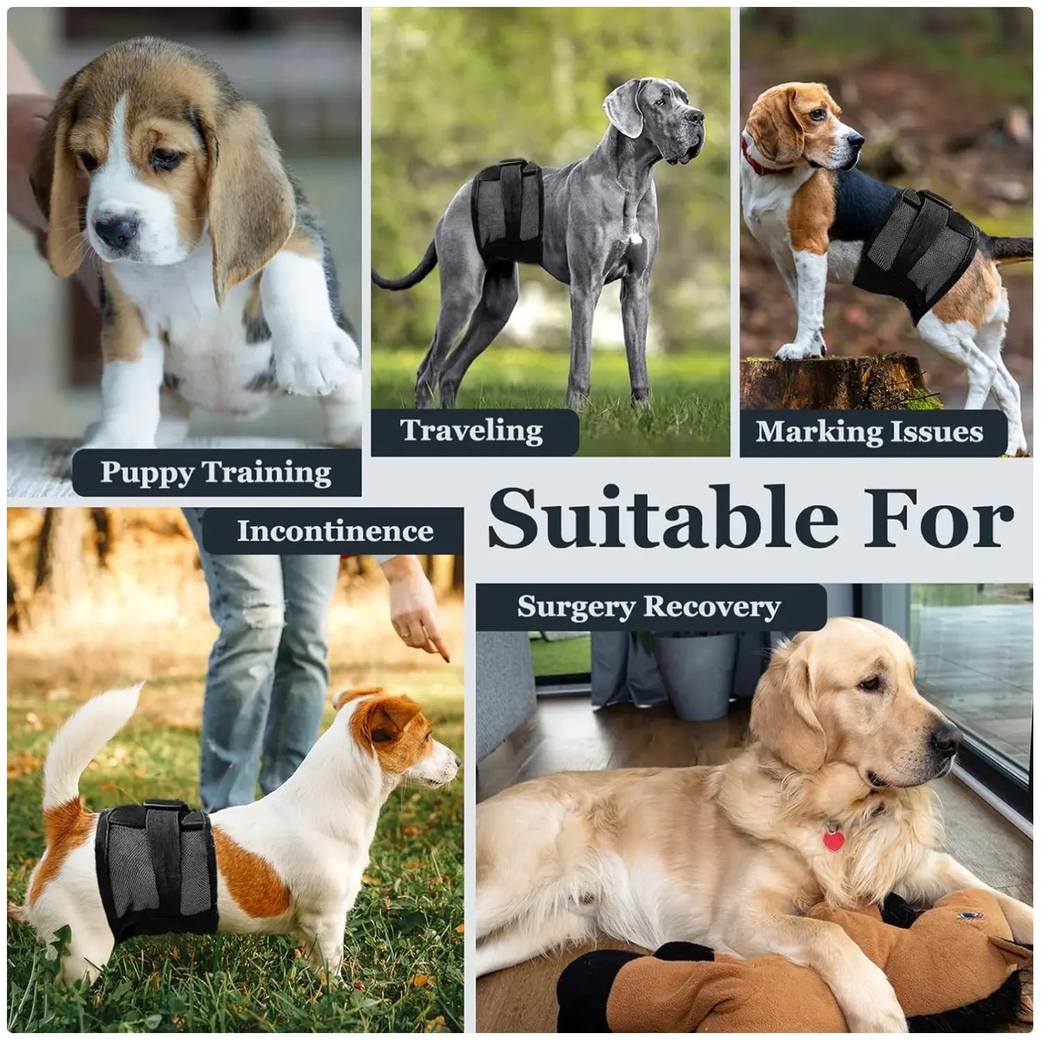 Multi - Purpose Pet Physiological Pants for Incontinence & Surgery Recovery
