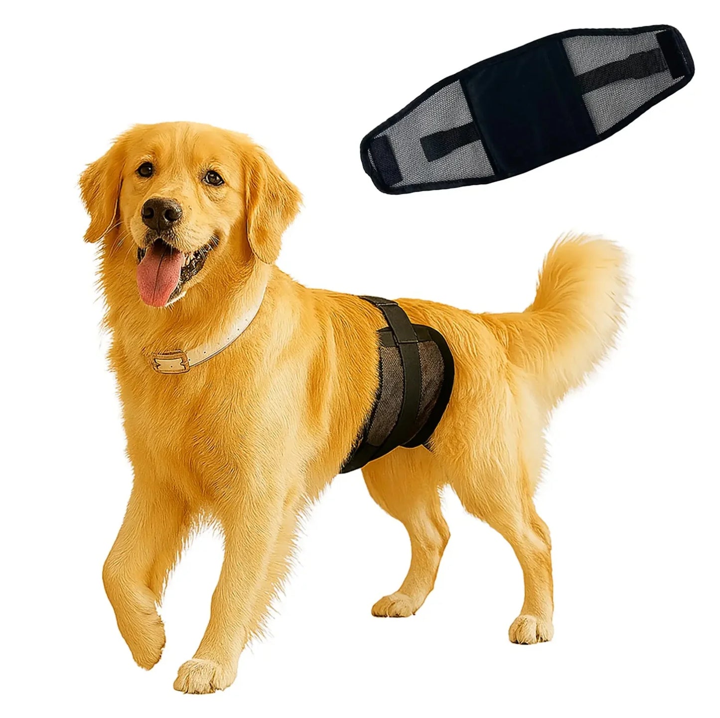 Multi - Purpose Pet Physiological Pants for Incontinence & Surgery Recovery