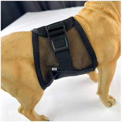 Multi - Purpose Pet Physiological Pants for Incontinence & Surgery Recovery
